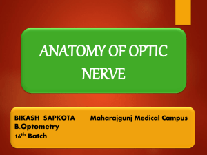 ANATOMY OF OPTIC NERVE