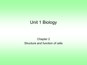Unit 1 Biology - CRCBiologyY11