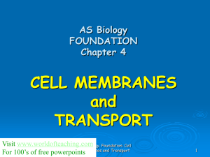AS Biology cell membranes