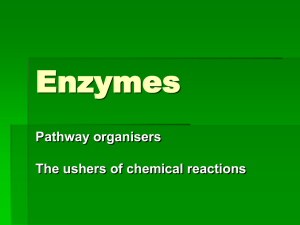 Enzymes.pp