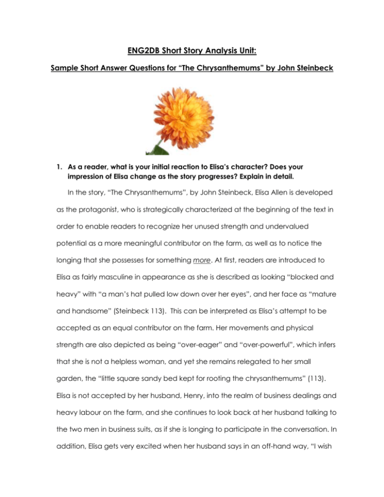 explanatory essay on the chrysanthemums