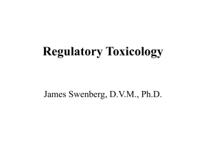Acute Toxicity Studies