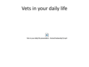 Vets in your daily life
