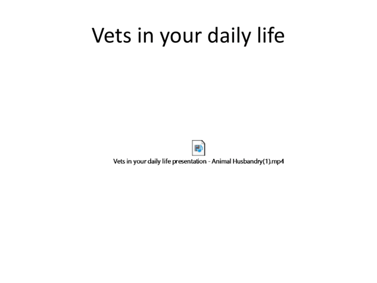 vets-in-your-daily-life