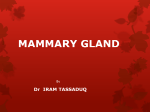 mammary gland - MBBS Students Club