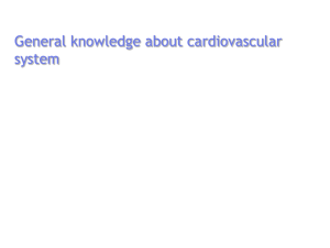 General knowledge about cardiovascular system