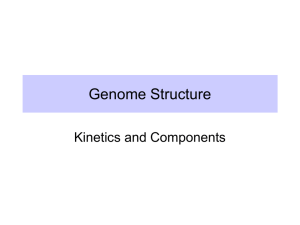 Genome Structure