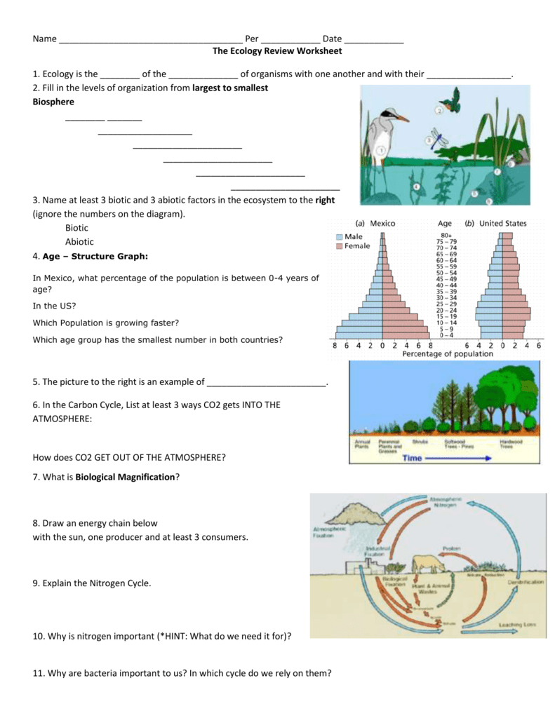 The Ecology Review Worksheet With Ecology Review Worksheet 1