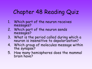 7. Describe what membrane potential is, and how
