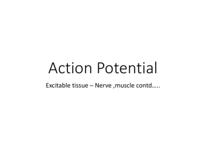 action potential
