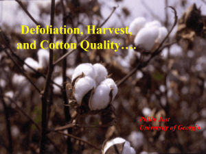 the ppt - UGA Cotton News