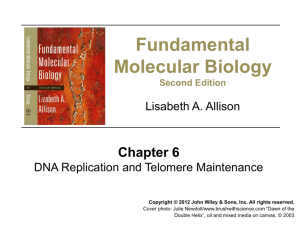 (CH6) DNA Replication and Telomere Maintenance
