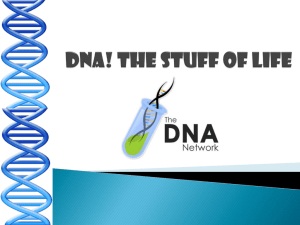 DNA! - Madison Public Schools