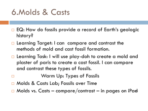 6.Molds vs casts