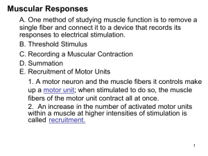 Smooth Muscles