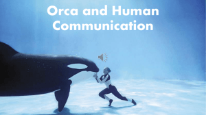 Orca Communication