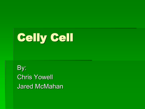 Celly Cell