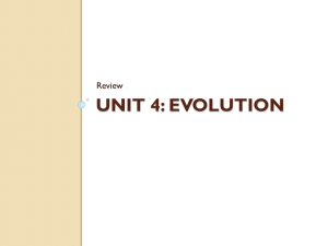 Unit 4 Natural Selection Review Powerpoint