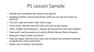 P5 Sample Lesson