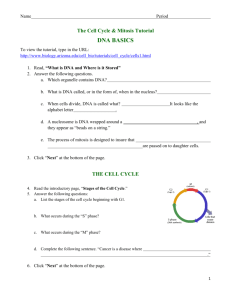 IPAD Virtual Cell Cycle lab revised for 2014
