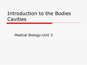 Introduction to the Bodies Cavities