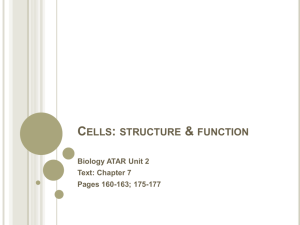 Cells: structure & function