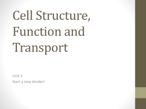 Cell Structure, Function and Transport