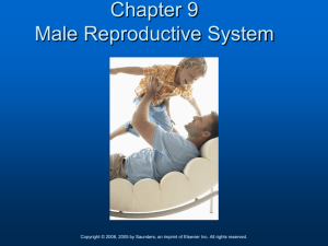 CHAPTER - 07 Urinary System