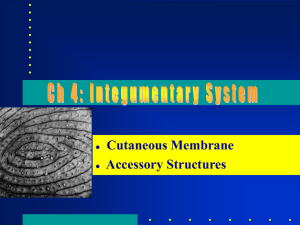 Accessory Structures