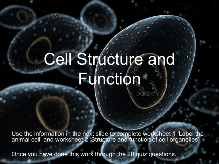 Plant And Animal Cell Structure And Function Ppt