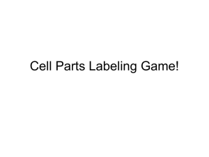 Cell Parts Quiz!