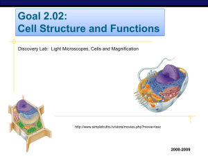 Goal 2.02 Cell Structure