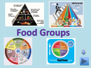 Food Groups - Rocky Pollock