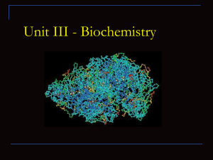Unit III - Biochemistry
