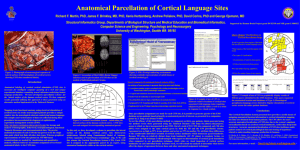 Figure 3: Cortical Parcellation System