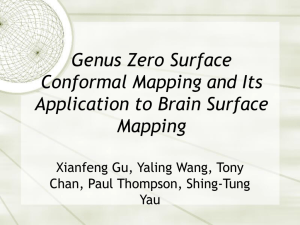 Genus Zero Surface Conformal Mapping and Its Application to Brain