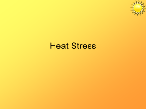 Millwide Heat Stress Training