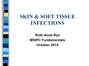 FIC Slides Skin and soft tissue_2015pptx