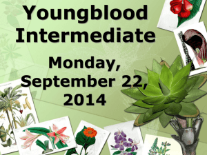 Youngblood Intermediate School
