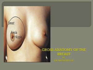 gross anatomy of the breast by dr anyanwu ge