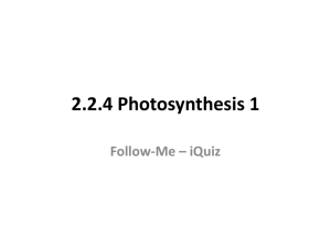 2.2.4 Photosynthesis 1