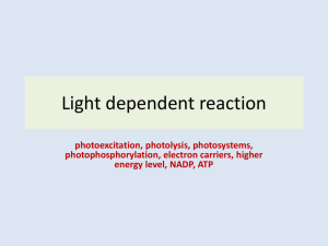 Light independent reaction
