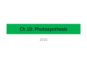 Ch10Photosynthesis