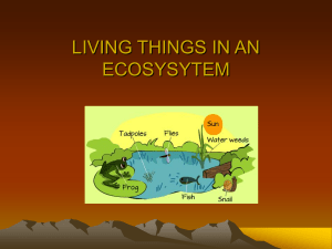 living things in an ecosysytem