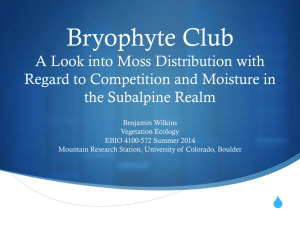 Bryophyte Club