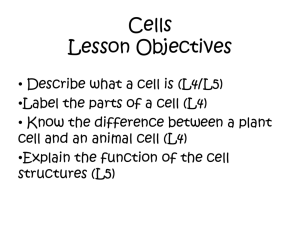 Cells Lesson Objectives