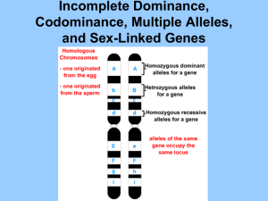 codominance and inc & sex linked
