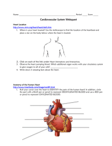 Cardiovascular System Webquest - Bremen High School District 228