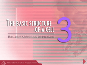 Chapter 3 The Basic Structure of a Cell