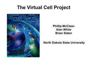 - Virtual Cell - North Dakota State University